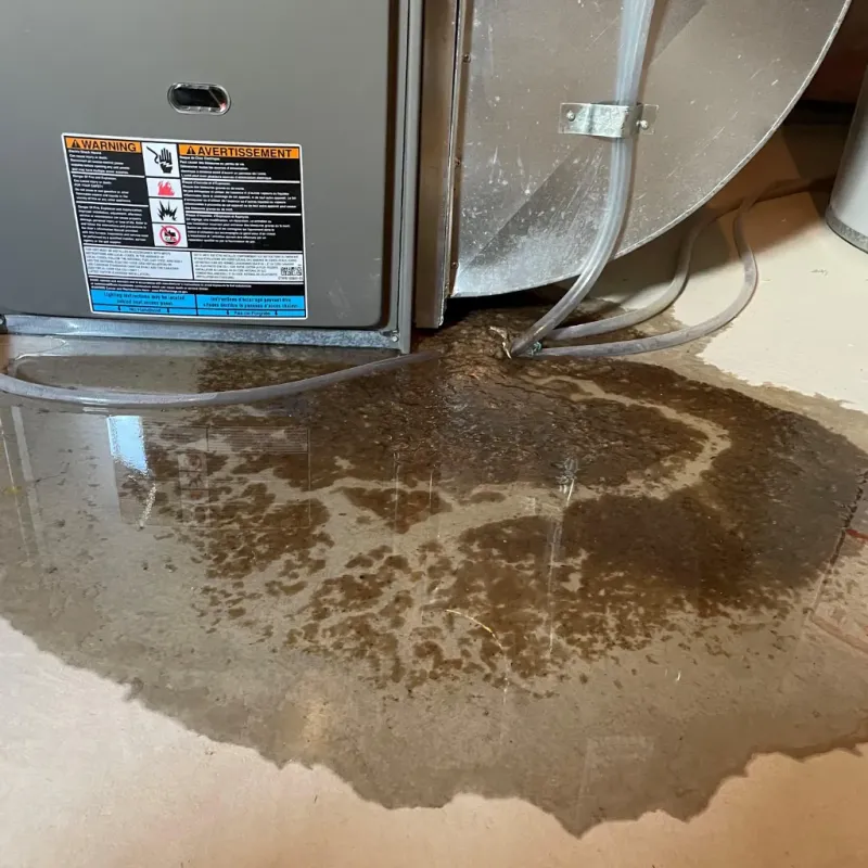 Appliance Leak Cleanup in Cleves, OH